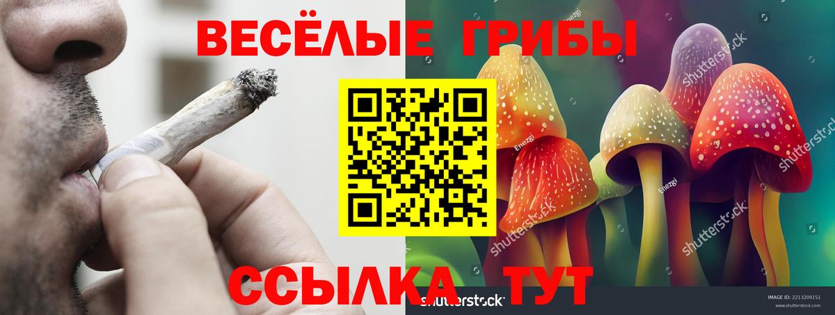 Псилоцибиновые грибы мицелий Волжск
